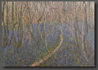 English landscapes/Bluebell magic 50x70cm